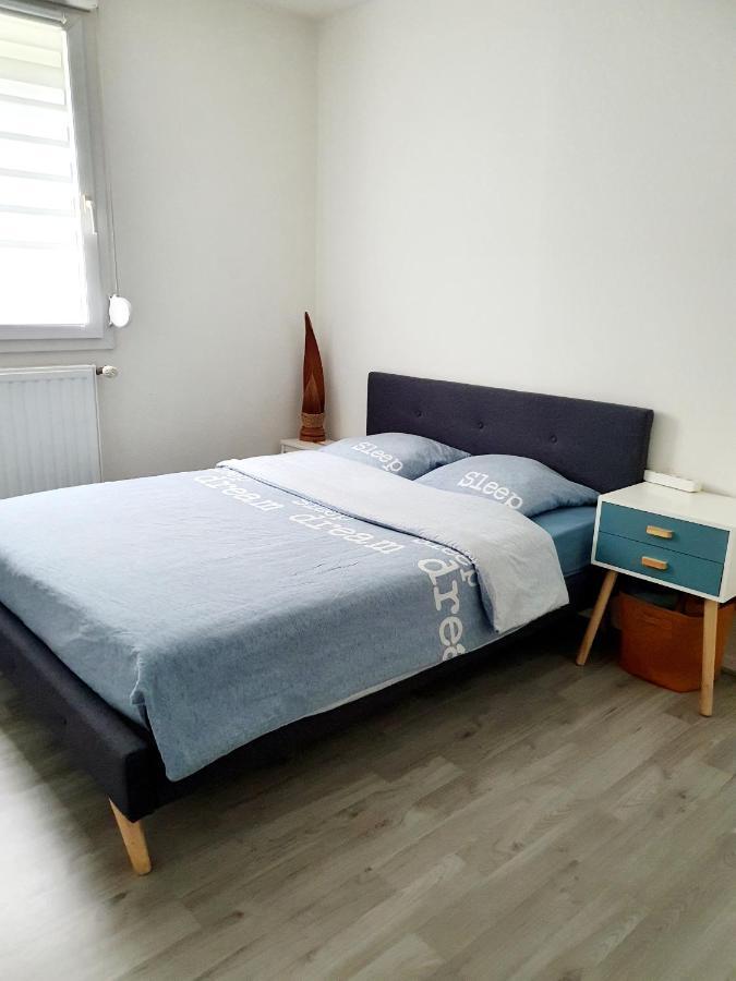 Bel Appartement Cosy Estrasburgo Exterior foto